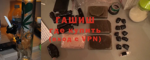 индика Алексин