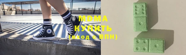 индика Алексин