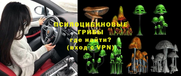 индика Алексин