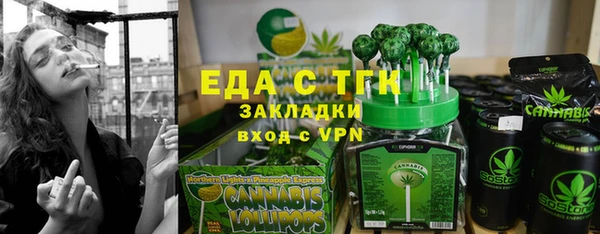 индика Алексин