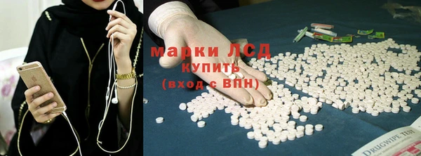 индика Алексин