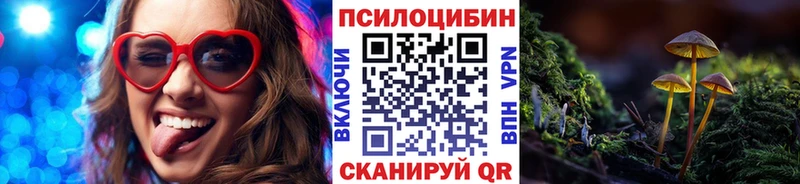 Галлюциногенные грибы Psilocybe  купить наркотики цена  Суджа 